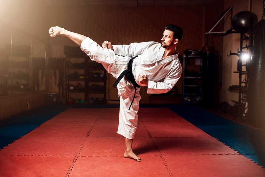 destructor_karate